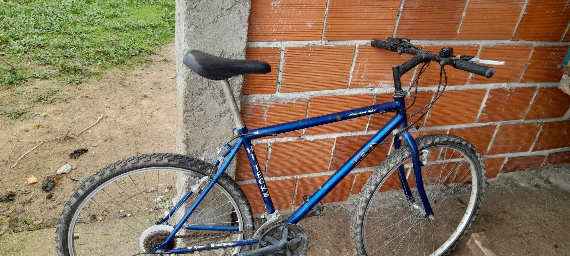 bicicleta azul      .