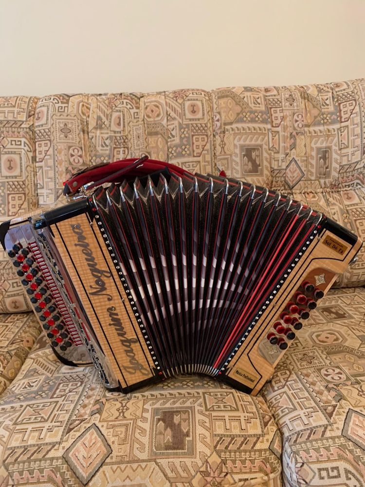 Concertina JoaquimNogueira