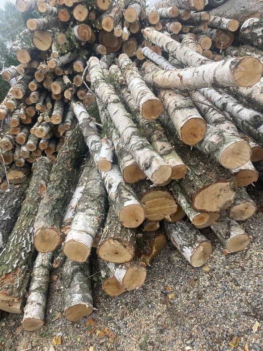 Drewno opalowe kominkowe brzoza dąb grab sosna  jesion osika dostawa