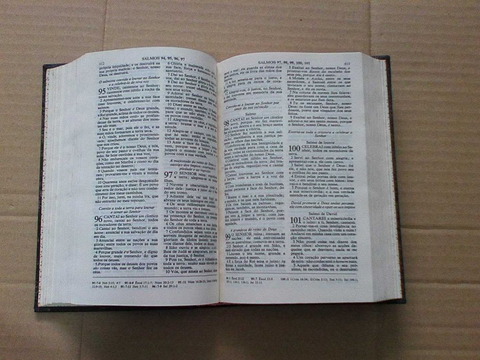 Biblia Sagrada -Ed. Sociedade Bíblica
