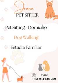 Pet Sitting - Dog Walking