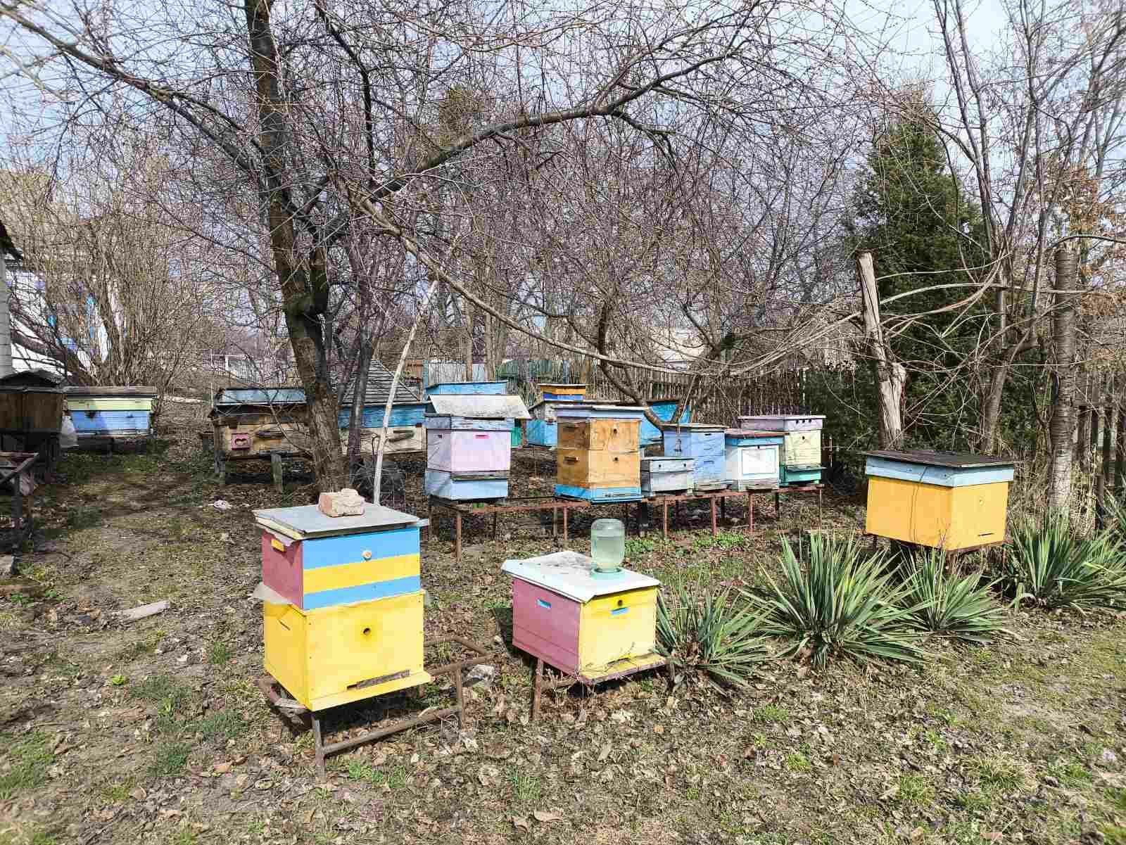 Продам вулики, рамки, медогонку. Вільшана, Черкаська область