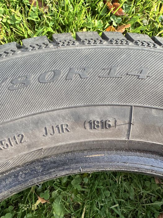 Dębica Frigo 2 175/80R14