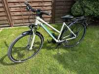 Rower Winora damka