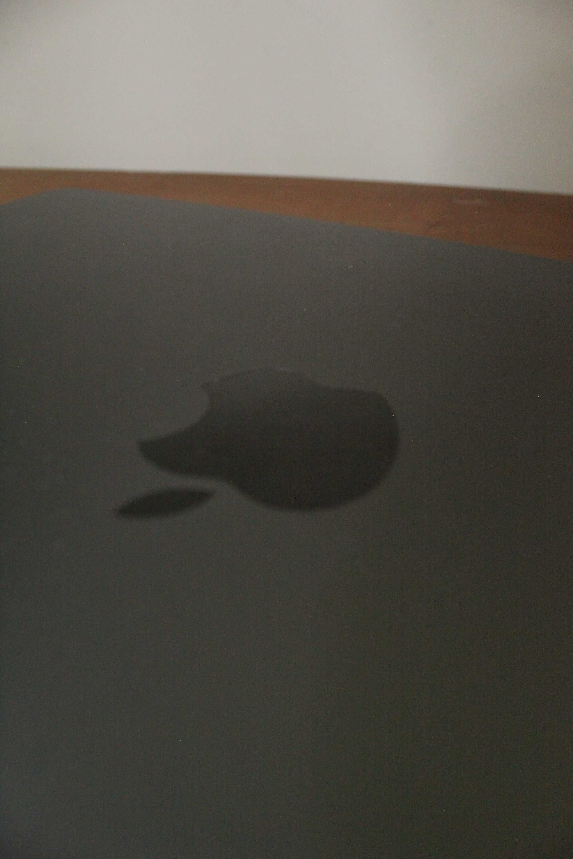 MacBook Air 13’’ 2022 M2 - Como Novo!