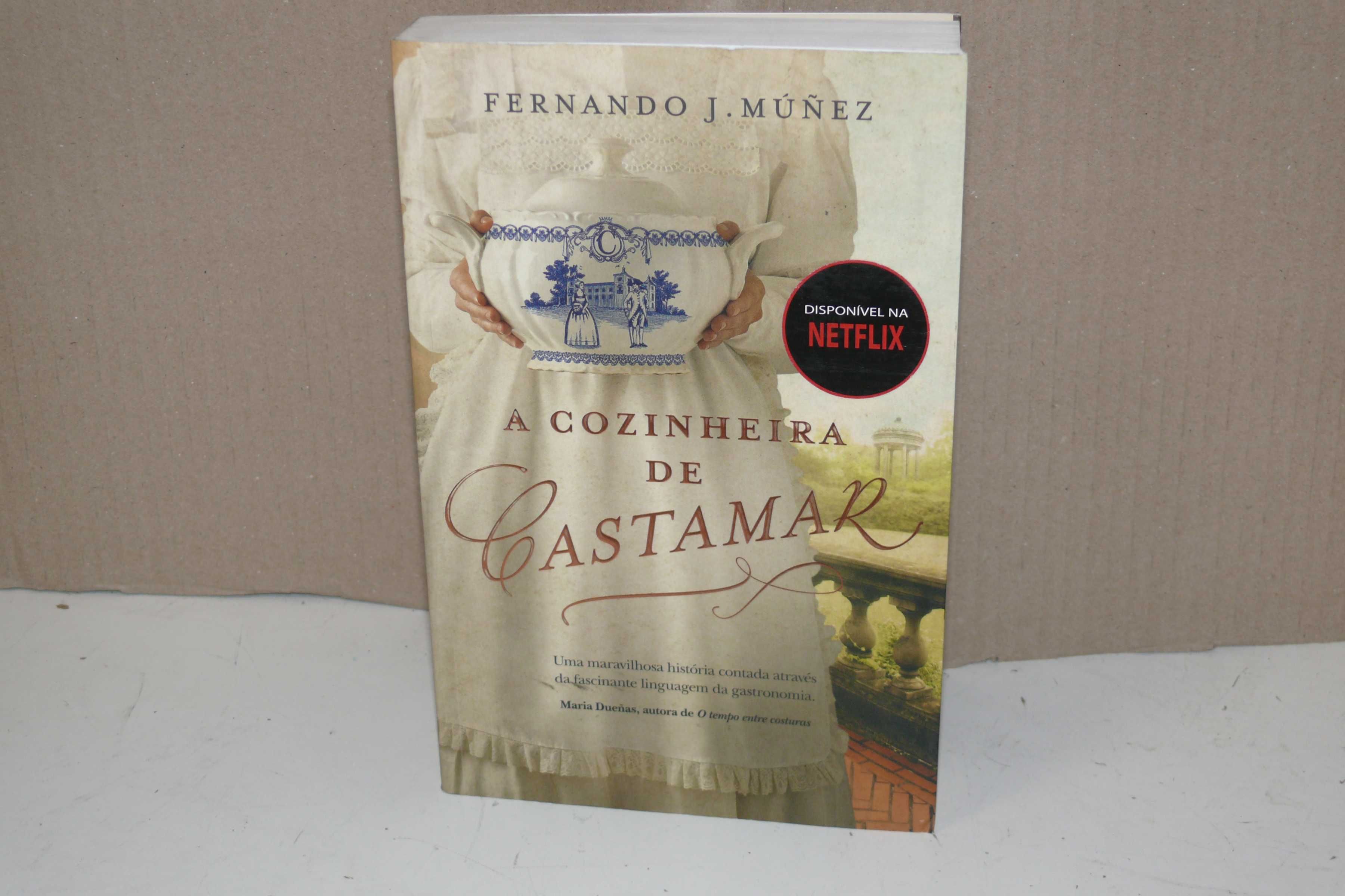 Livro - A Cozinheira de Castamar