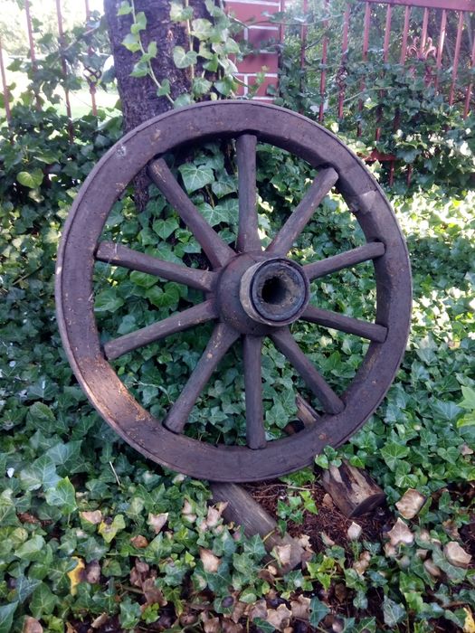 Koło drewniane 130 .70 średnica.