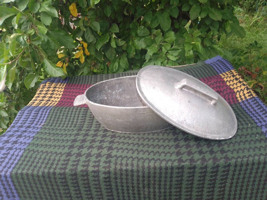 Гусятниця в ідеальному стані