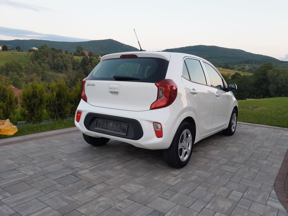 Kia Picanto 2022 rok