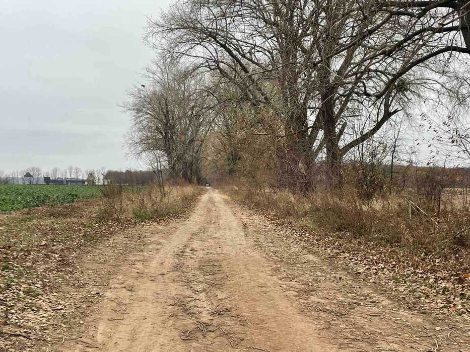 Продається земельна ділянка в с. Іванівка 7811