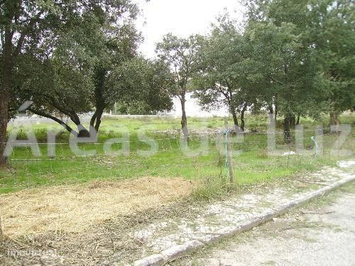 Lote de terreno - Azoia