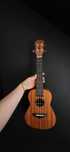 Ukulele koncertowe  Arrow