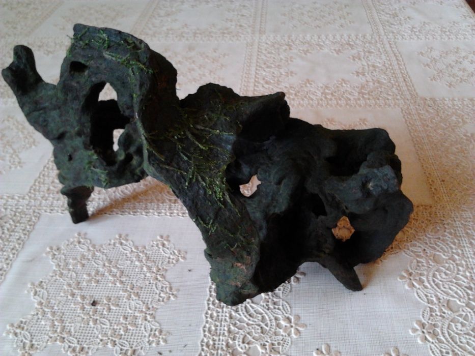 wyjatkowy korzen do akwarium