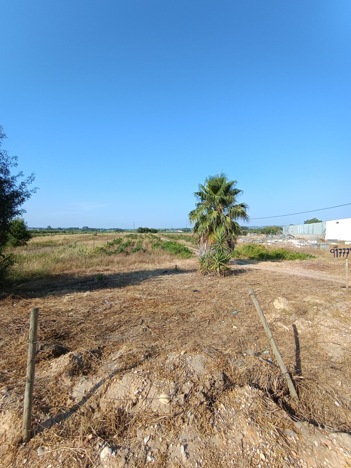 Terreno Urbano com área de cultivo
