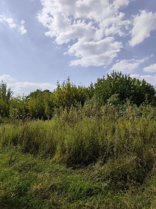 Продам участок под настройку на Большой Даниловке!