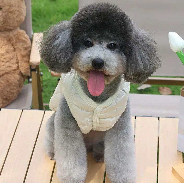 Roupa de cão ou gato