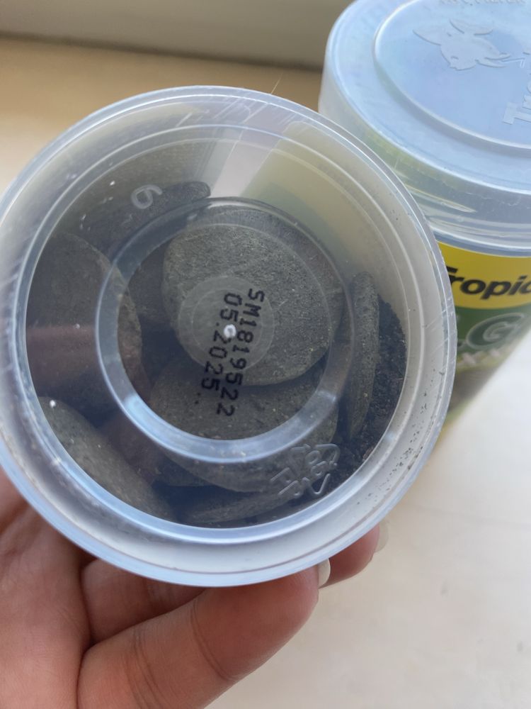 Tropical HI-ALGAE
