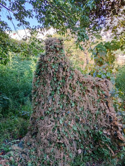 Кікімора  дуже велика накидка .