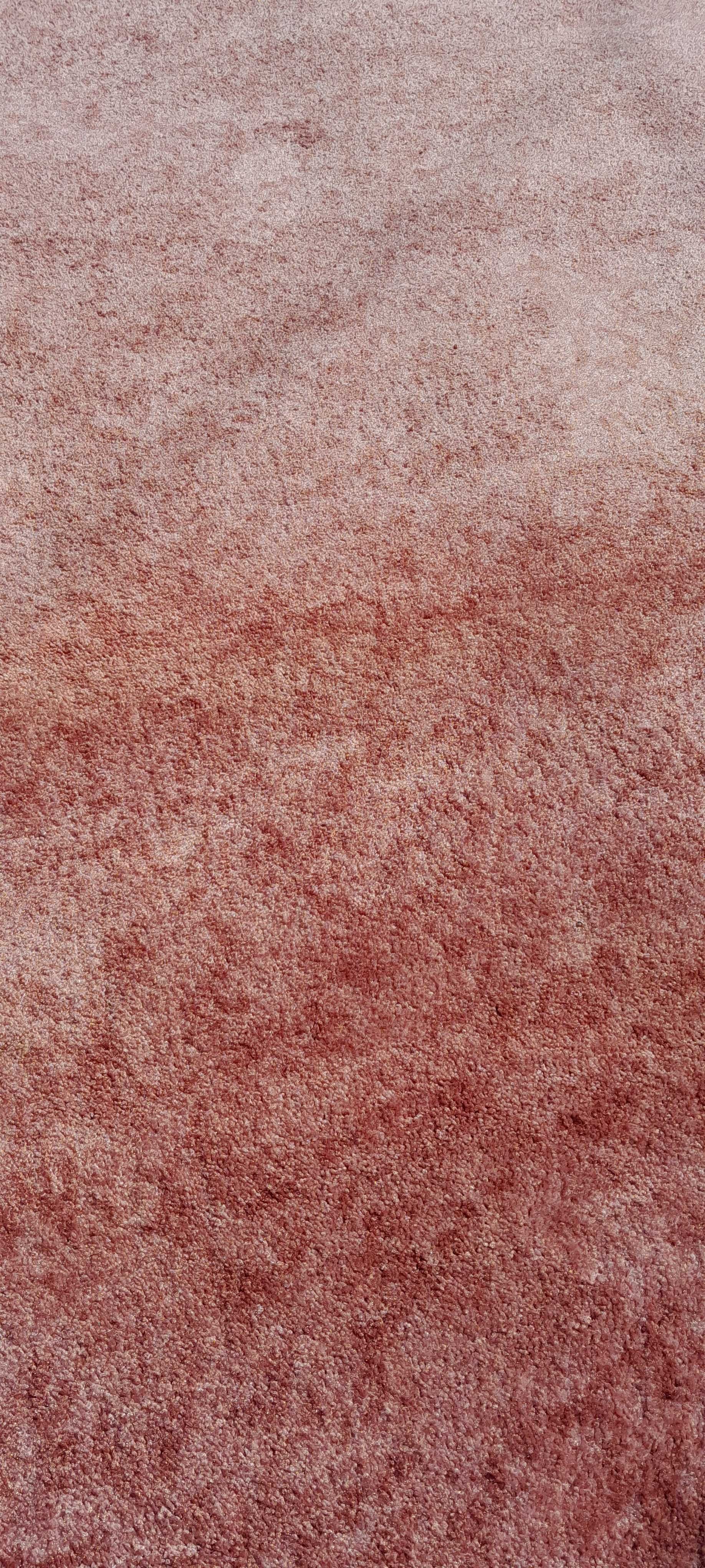 Tapetes e Carpetes diversos