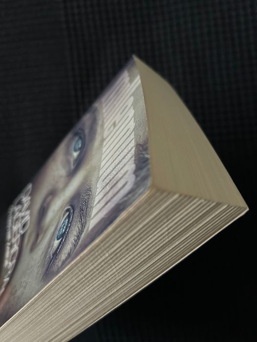 Millenium (kontynuacja) - Co nas nie zabije - David Lagercrantz