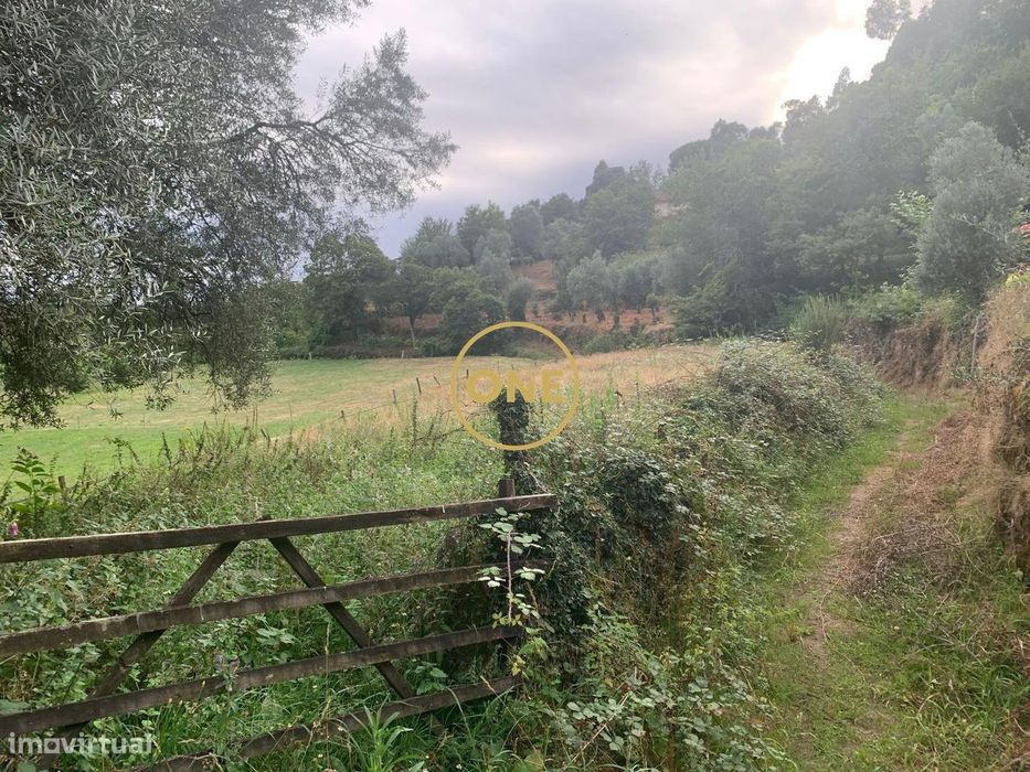 Terreno Rústico em Vieira do Minho