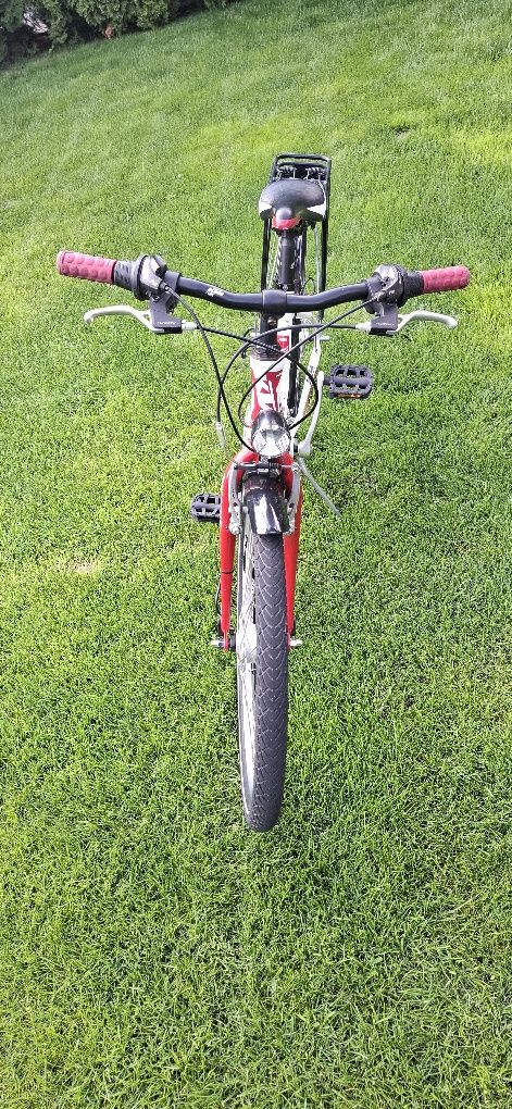 Rower KTM WildCat 24