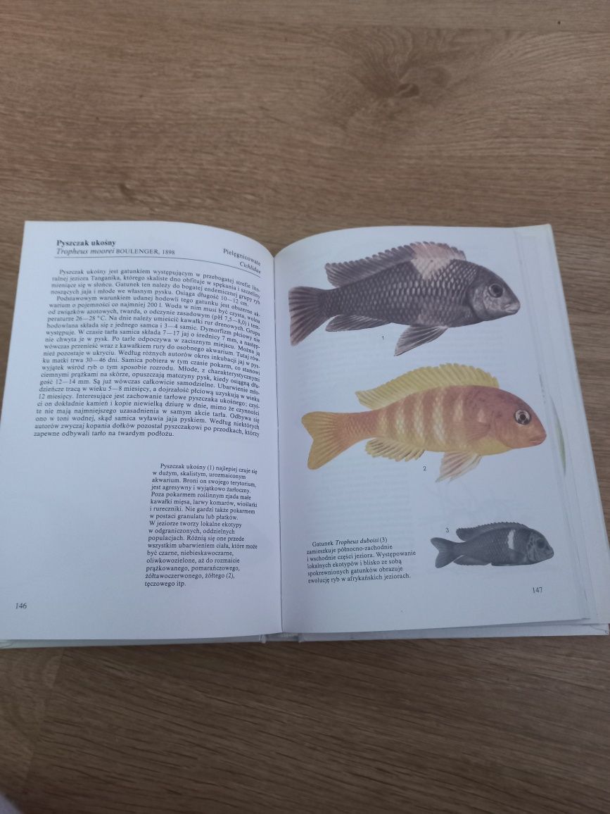 Książka,Leksykon Przyrody.Ryby Akwariowe.