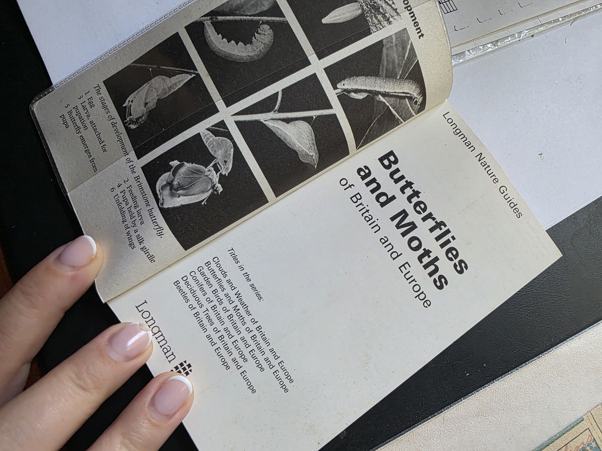 Livro raro sobre borboletas 1986