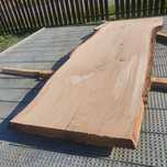 Blat dębowy po suszarni i planowaniu 80cm