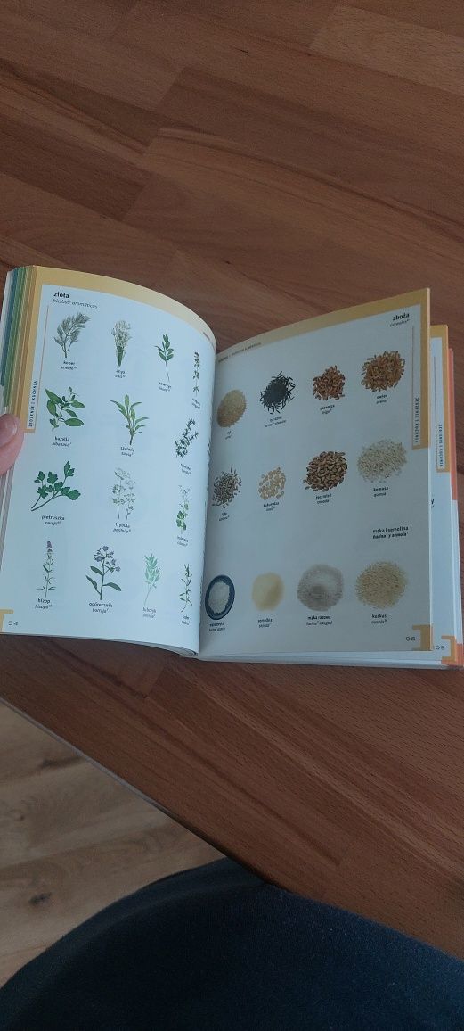 Podręcznikpons słownik obrazkowy języka hiszpanskiego