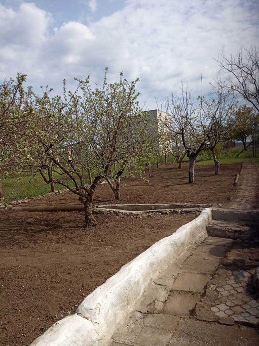 Продаж дачного будинку на березі Тилигульского лимана