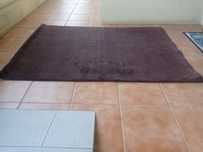 Carpete castanha pelo curto