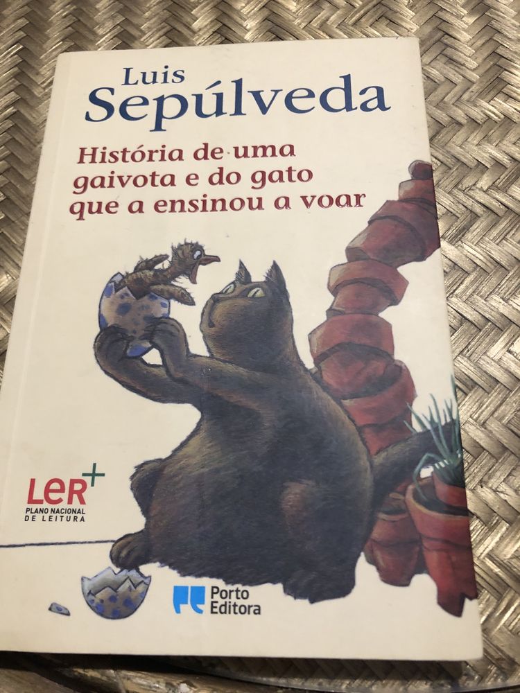 Livros recomendados pela escola