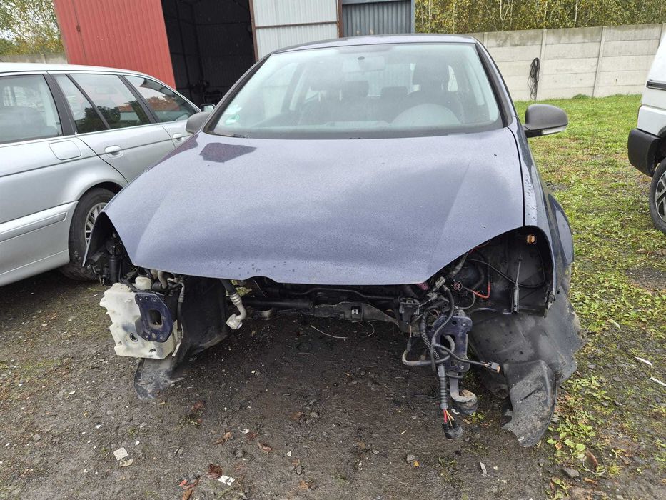 Volkswagen Golf V 1.9 TDI BLS, rok 2007, kolor (A5G D3).