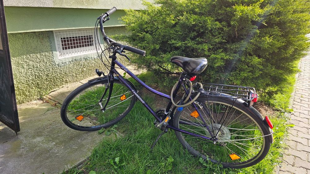Rower Altus Cambridge