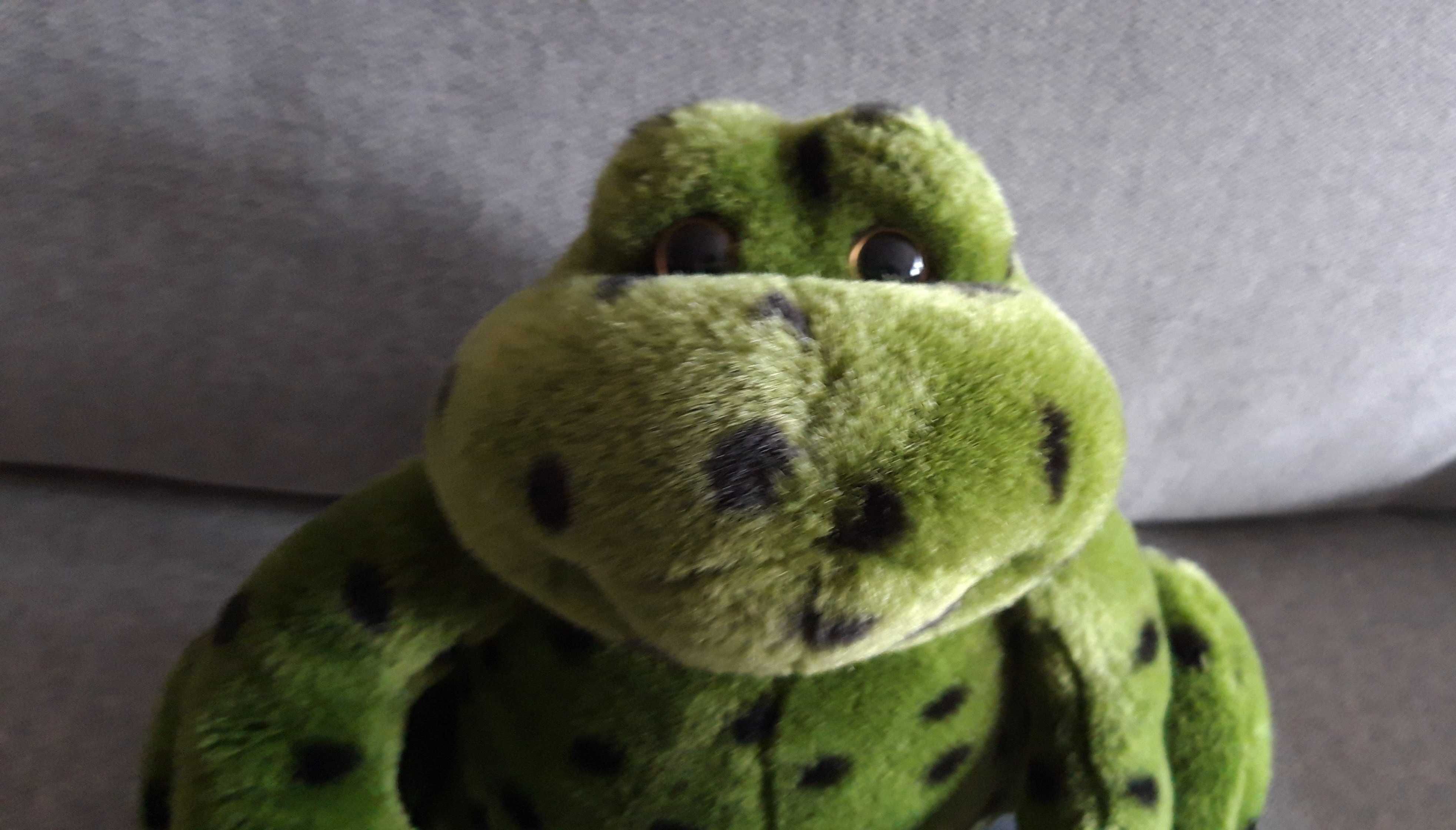 Peluche Sapo para criança