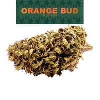 Susz konopny CBD Orange Bud - 5g