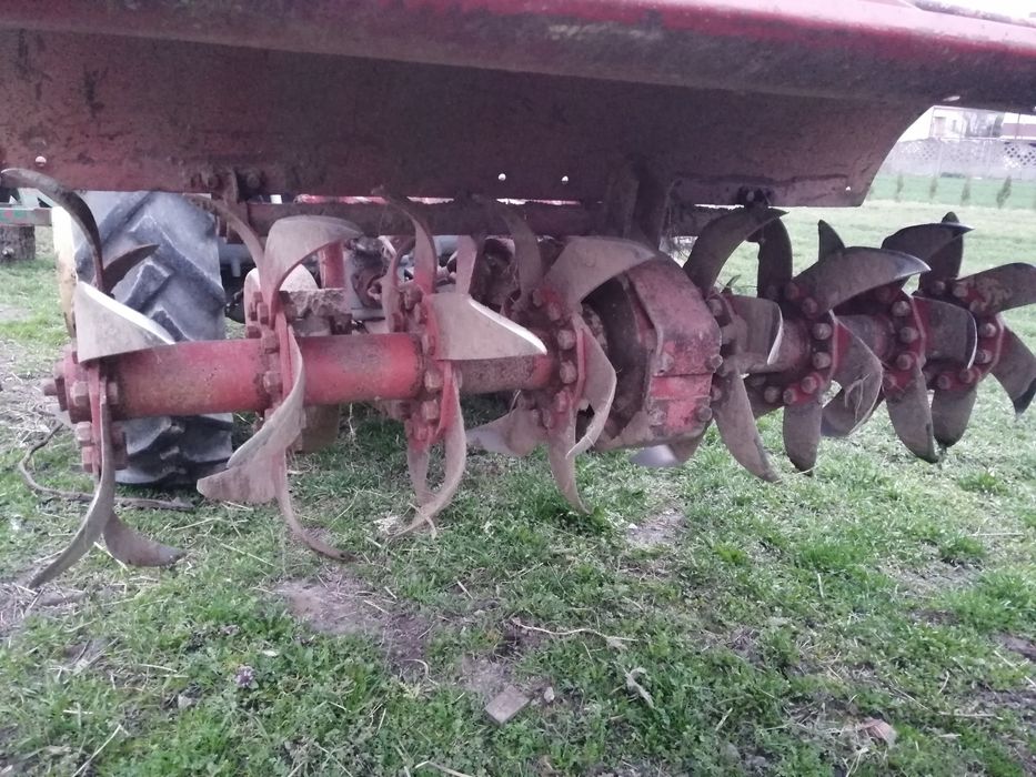 Glebogryzarki Unia Grudziądz