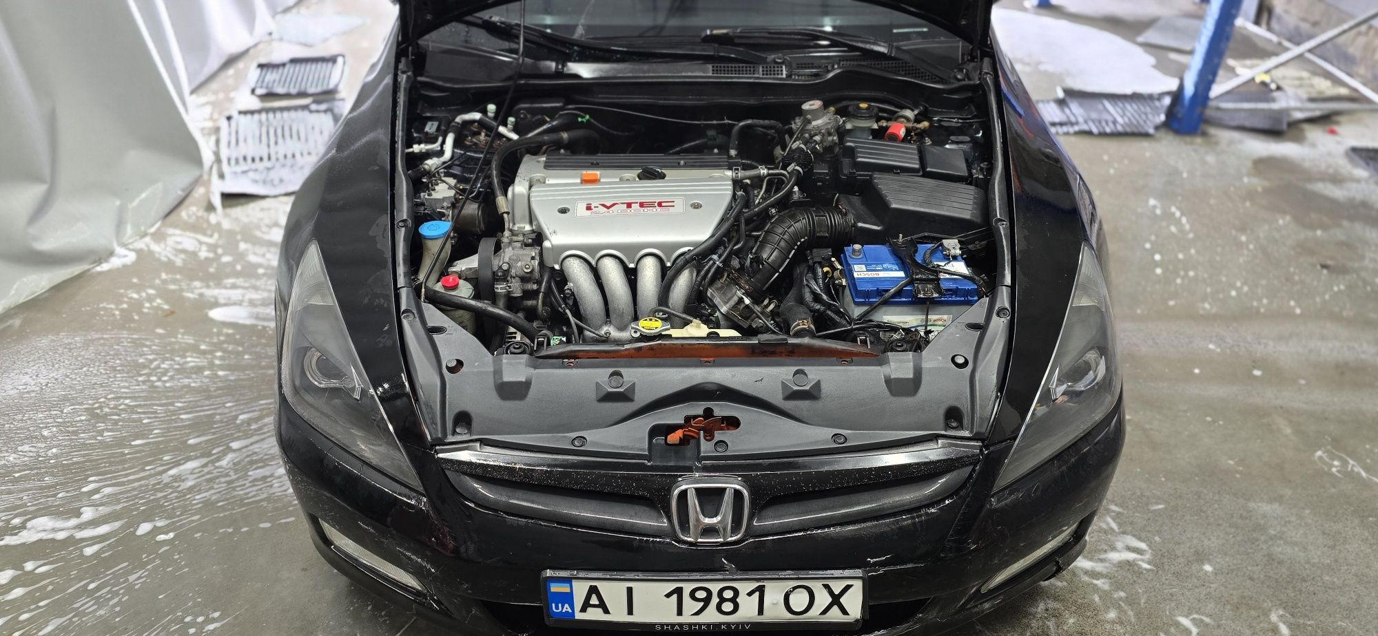 ACCORD 7 USA.                                  ,