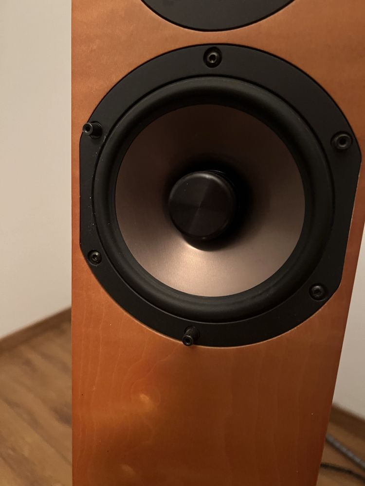 Kolumny Audio Physic Tempo 6