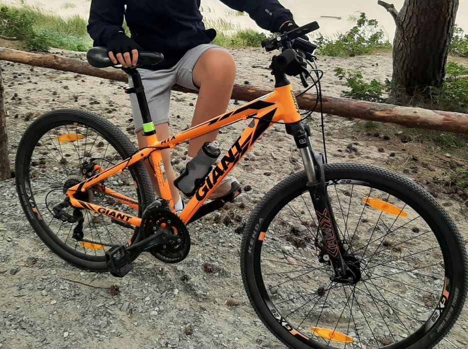 Rower Giant Revel 2 Disc męski rozmiar S