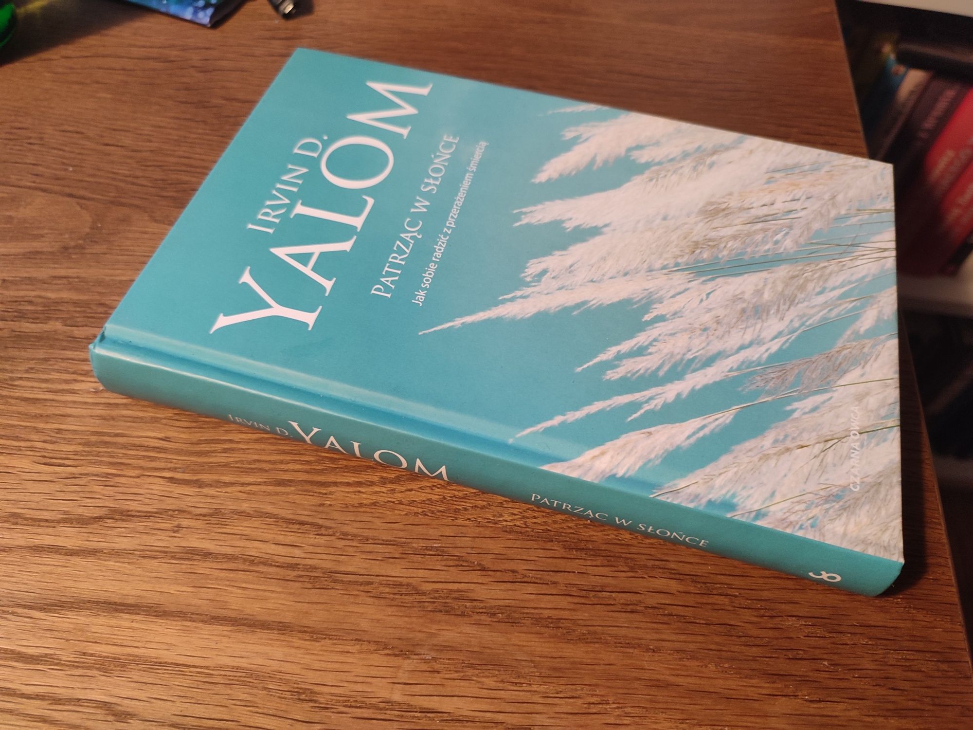Yalom Patrząc w słońce