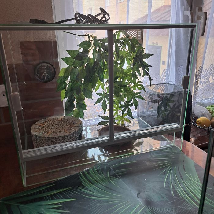Terrarium 50/30cm z wyposażeniem