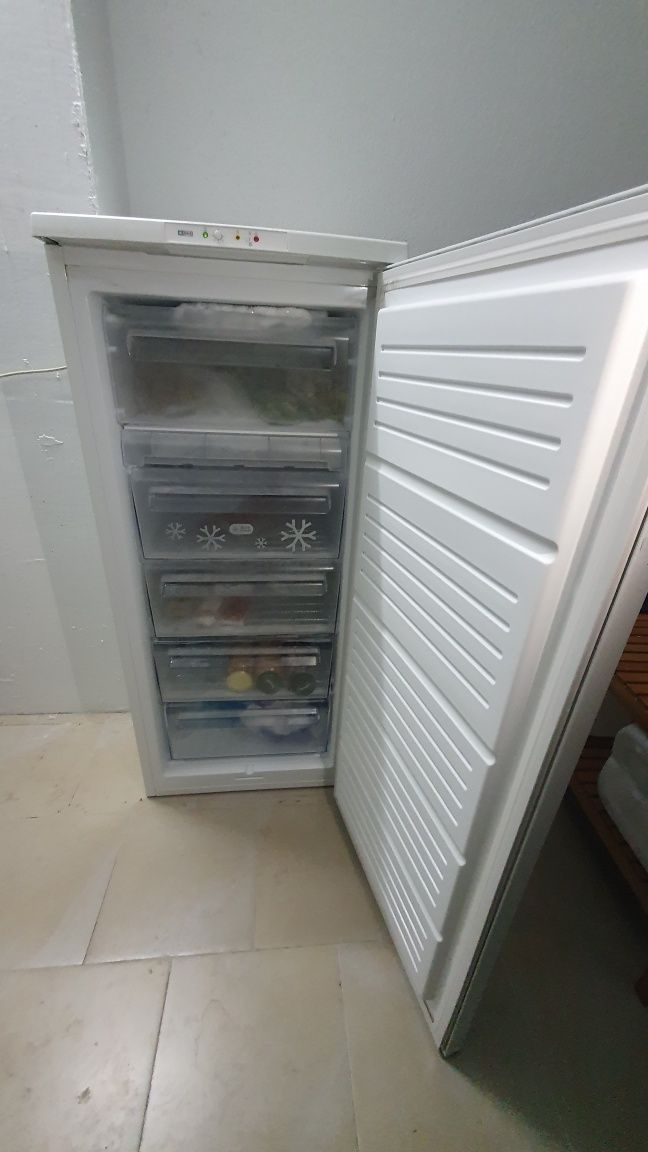 Arca congeladora vertical zanussi