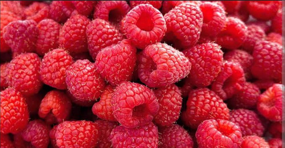Продам саджанці малини.