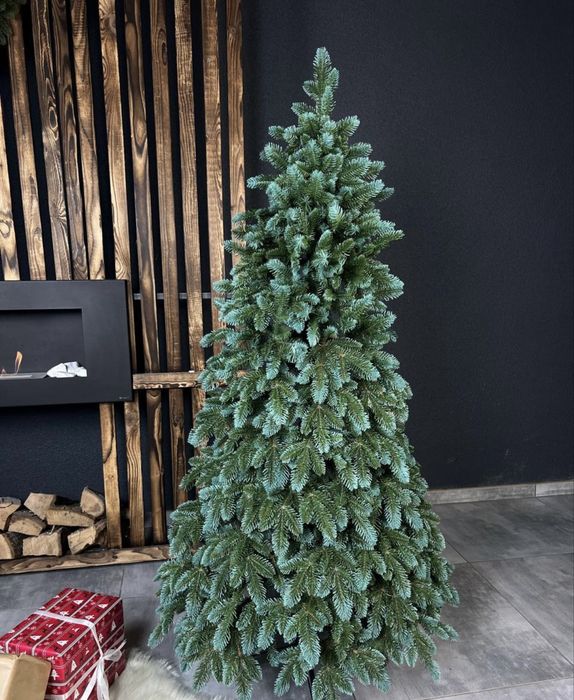 Ялинка лита «Канадська»