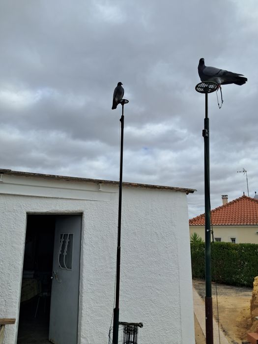 Negaças no sobe desce.