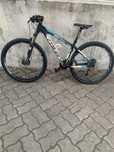 Vendo Couluer Pragma 270