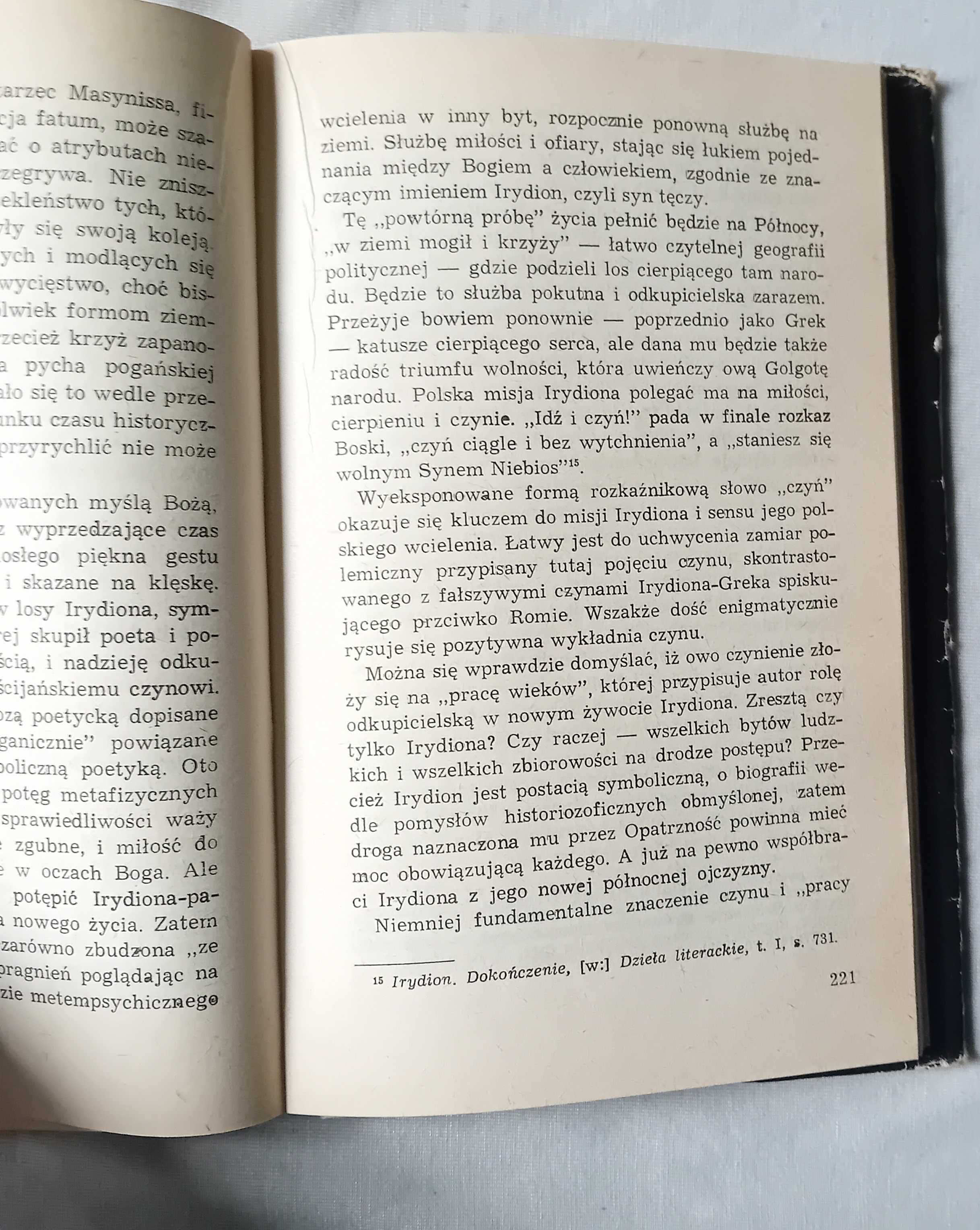 Alina Witkowska. Wielcy romantycy polscy. Sylwetki. PIW, 1980. Wyd. I.