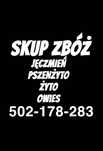 zboże zboża jęczmień owies żyto pszenżyto